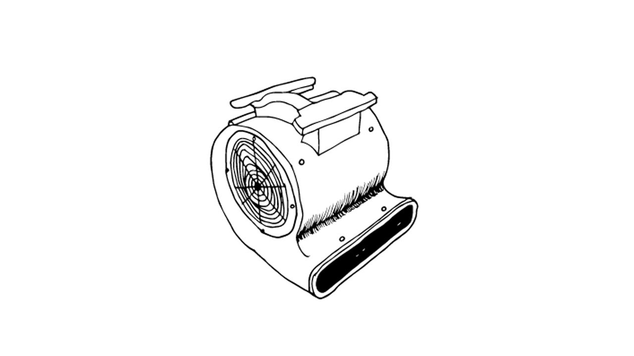 Snail Fan
