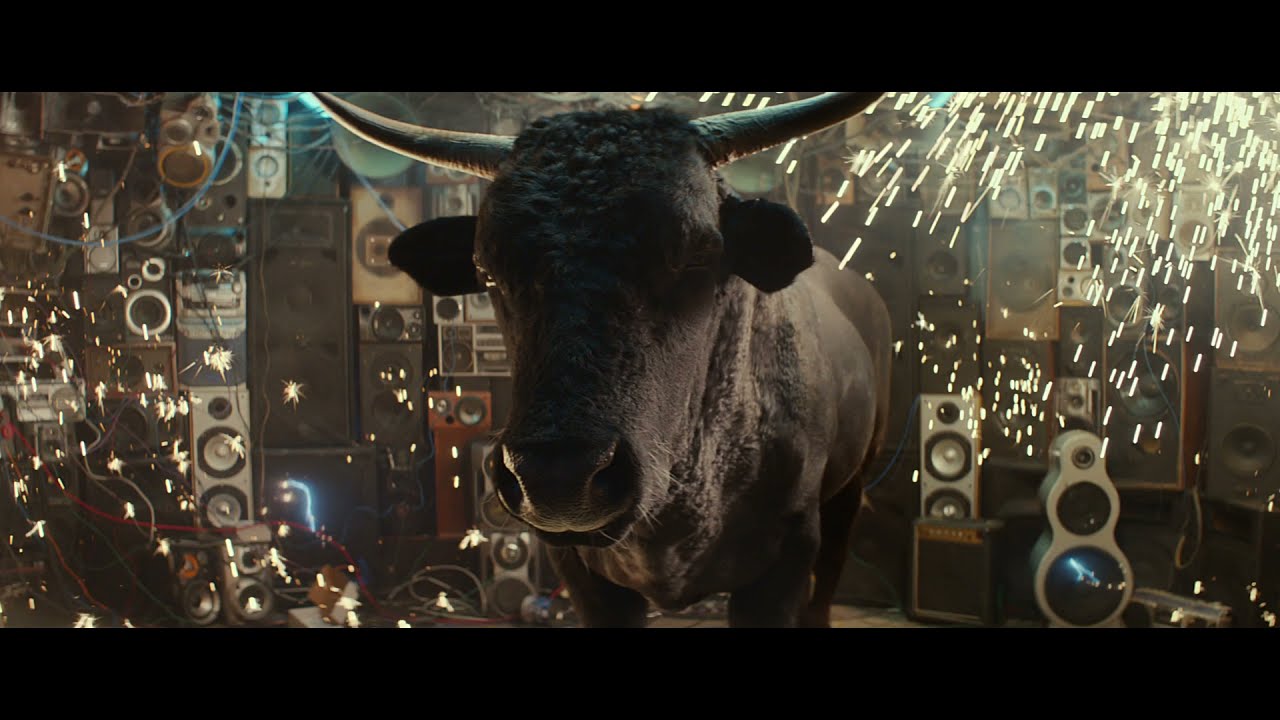 Money Calm Bull