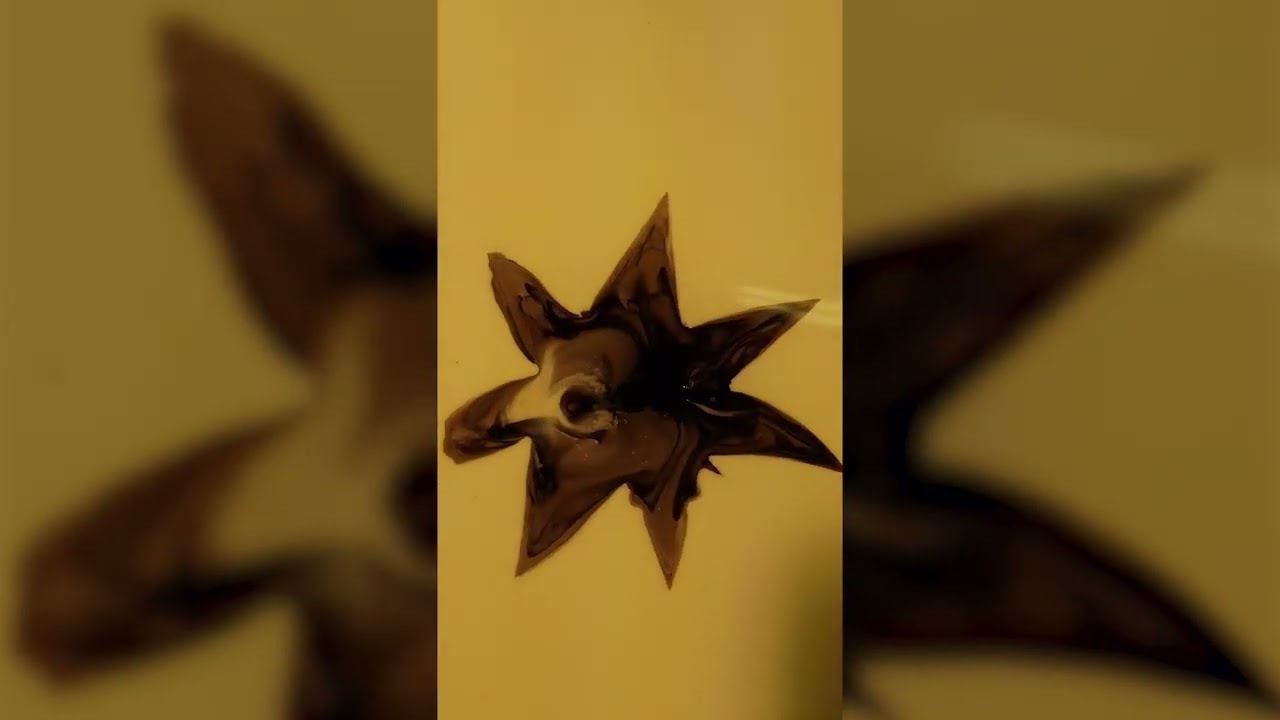 V.S.O.P Privilège