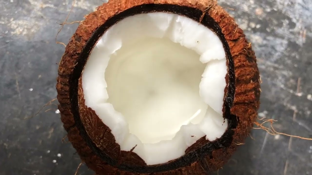 Made of Nature