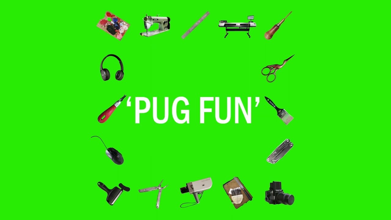Pug Fun