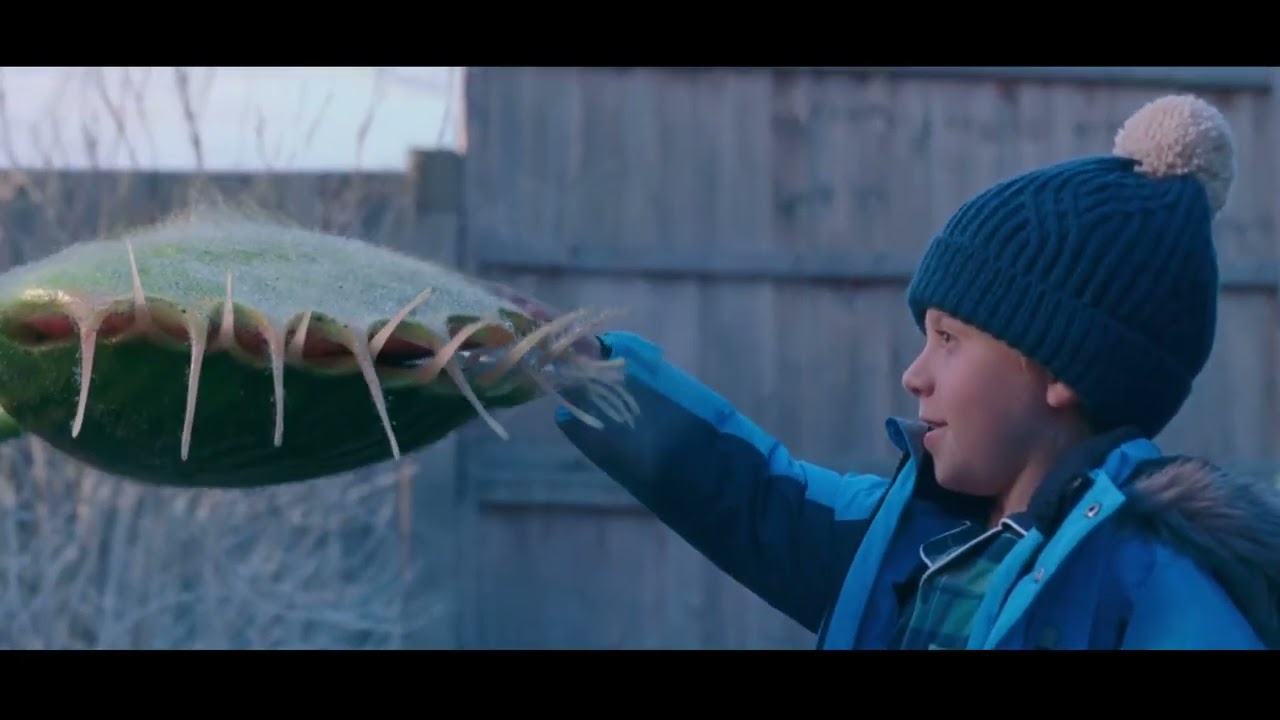 Christmas Reel 2025