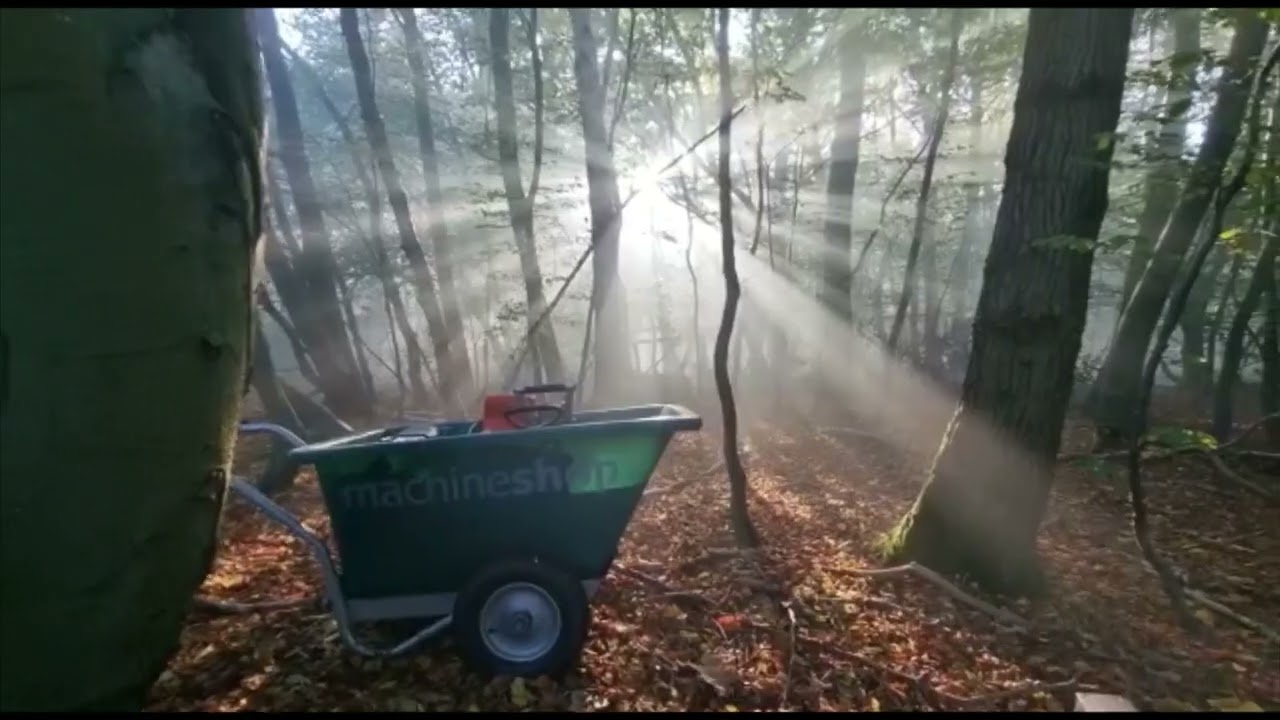 Sashinski
