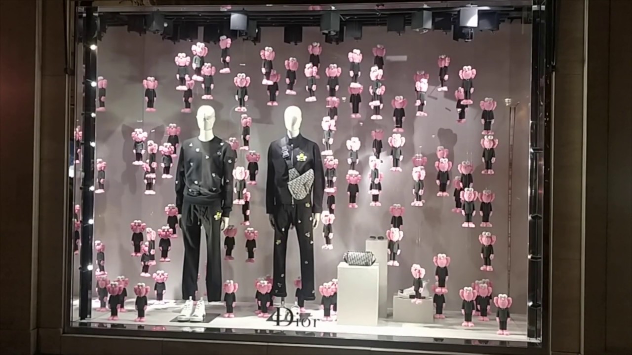 Dior ft KAWS