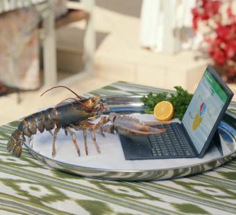 Lobster