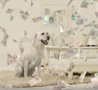 Cashback