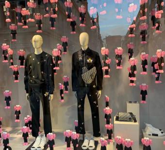 Dior ft KAWS