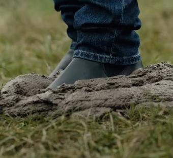 Gordon Ramsay takes up farming