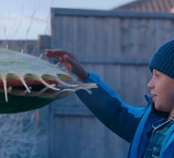 Snapper